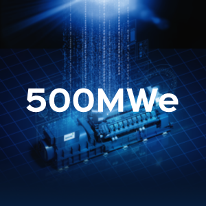 500MWe 1