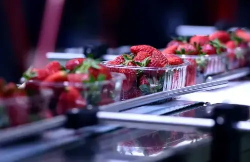 Sectors-Food-Manufacturing